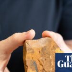 retired-teacher-s-fossil-discovery-rewrites-insect-evolution-history