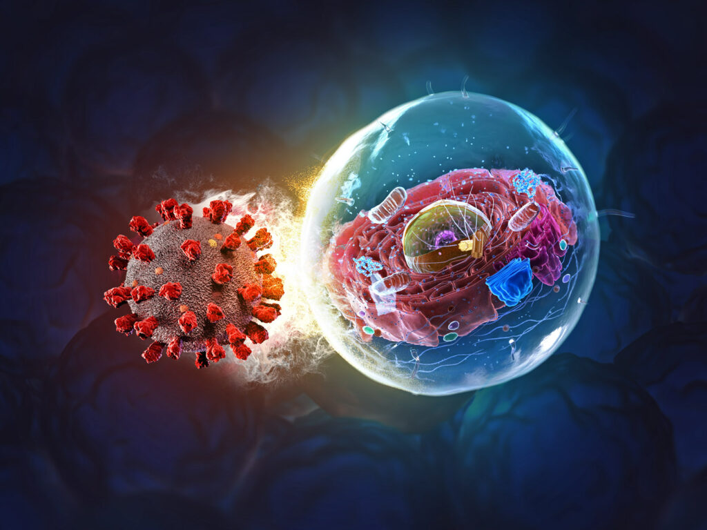 scientists-identify-key-targets-to-combat-multiple-viruses