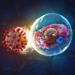 scientists-identify-key-targets-to-combat-multiple-viruses