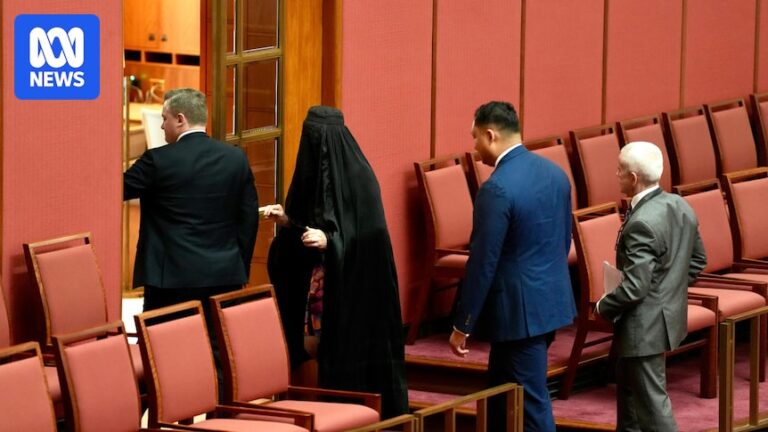 senate-suspended-after-pauline-hanson-s-controversial-burka-stunt