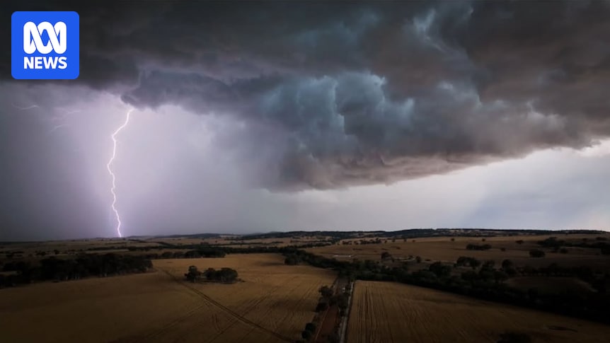 severe-storms-devastate-west-australia-s-wheatbelt-region