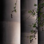 south-australia-rejects-abortion-bill-limiting-terminations-post-23-weeks