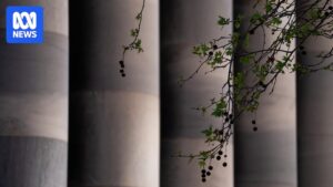 south-australia-rejects-abortion-bill-limiting-terminations-post-23-weeks