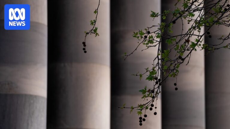 south-australia-rejects-abortion-bill-limiting-terminations-post-23-weeks