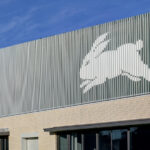 south-sydney-rabbitohs-revamp-football-department-for-2026-season