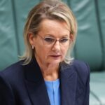 sussan-ley-criticizes-coalition-over-abortion-comments-amid-parental-leave-debate