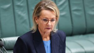 sussan-ley-criticizes-coalition-over-abortion-comments-amid-parental-leave-debate