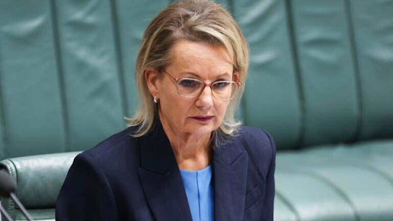 sussan-ley-criticizes-coalition-over-abortion-comments-amid-parental-leave-debate