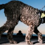 sydney-photographer-gavin-libotte-s-wanderland-collection-transforms-the-mundane