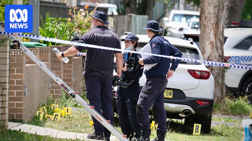 sydney-shootings-spur-police-investigation-into-possible-links