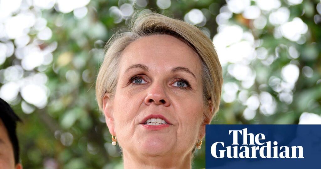 tanya-plibersek-calls-for-action-after-queensland-domestic-violence-failures