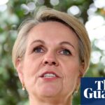 tanya-plibersek-calls-for-action-after-queensland-domestic-violence-failures