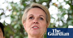 tanya-plibersek-calls-for-action-after-queensland-dv-failures-exposed
