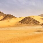 the-tree-of-t-n-r-a-symbol-of-survival-in-the-sahara-desert