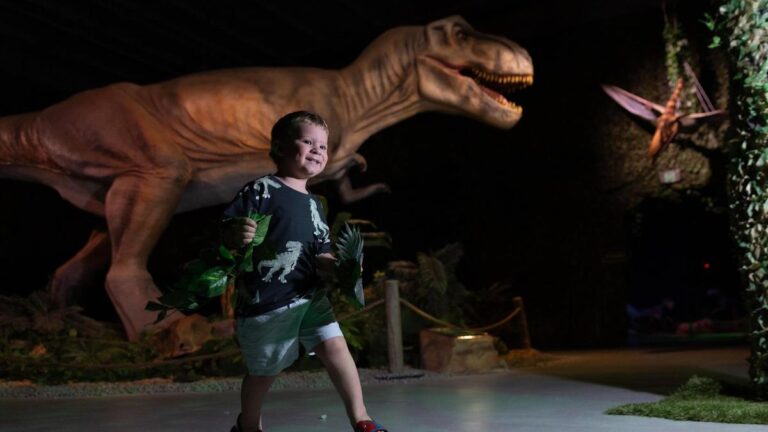 top-10-family-friendly-activities-in-perth-this-spring