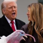 trump-revives-humor-and-criticism-at-thanksgiving-turkey-pardon
