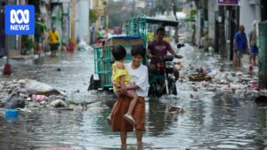 typhoon-fung-wong-devastates-philippines-eight-dead-1-4-million-displaced
