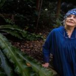 wendy-whiteley-joins-lavender-bay-battle-against-towering-developments