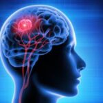 14-million-consortium-to-revolutionize-brain-tumour-research-in-the-uk