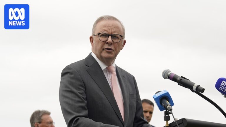 albanese-s-social-media-ban-for-under-16s-sparks-debate-and-anticipation