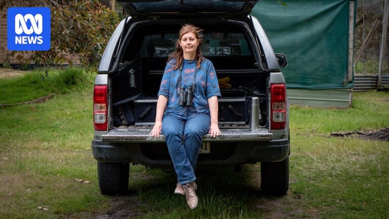 australia-s-renewable-energy-dilemma-wind-farms-vs-wildlife