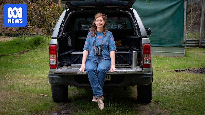 australia-s-renewable-energy-dilemma-wind-farms-vs-wildlife