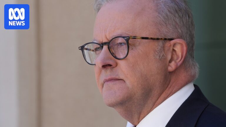 australian-politics-in-2025-a-year-of-dominance-division-and-defining-moments