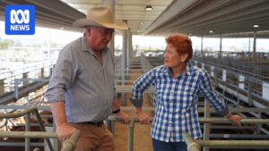 barnaby-joyce-joins-one-nation-shakes-up-australian-political-landscape