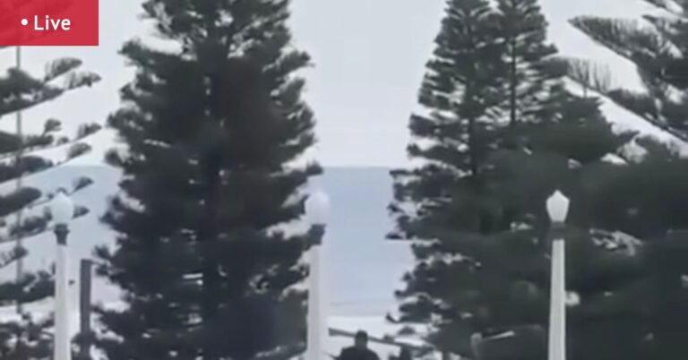 bondi-beach-hanukkah-celebration-turns-deadly-in-terror-attack