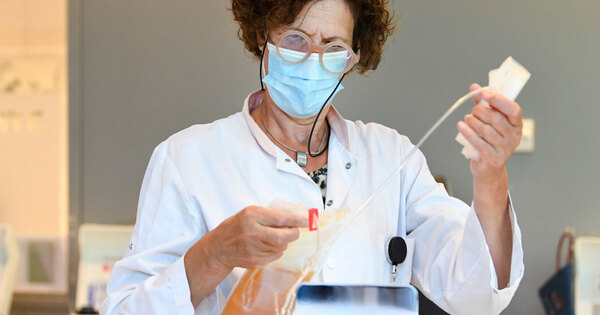 breakthrough-in-plant-chemistry-decoding-cancer-fighting-mitraphylline