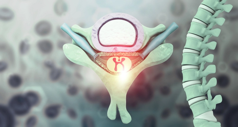 breakthrough-study-reveals-dna-s-role-in-spinal-cord-injury-repair