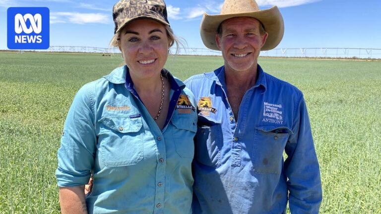 central-australian-farm-completes-pioneering-barley-harvest