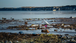 climate-change-intensifies-plastic-pollution-crisis-experts-warn