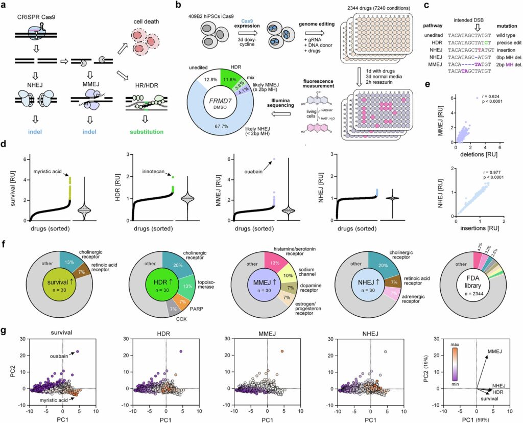 common-medications-may-impact-crispr-therapy-and-cancer-treatment