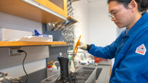 cornell-researchers-develop-world-s-darkest-fabric-inspired-by-nature