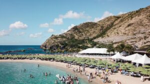 crypto-billionaire-plans-libertarian-community-on-nevis-island