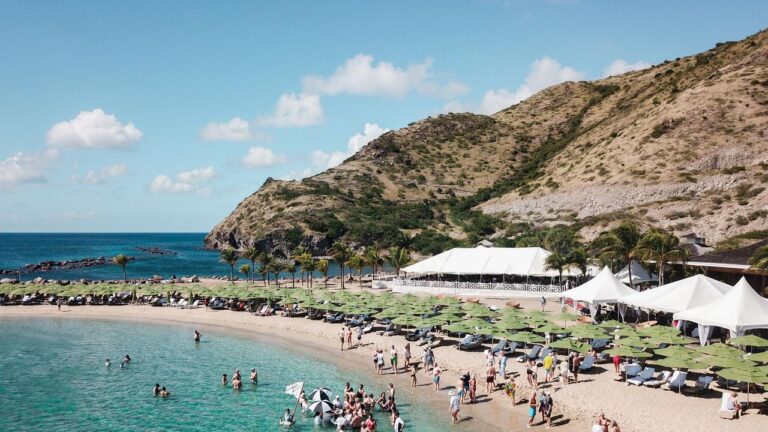 crypto-billionaire-plans-libertarian-community-on-nevis-island