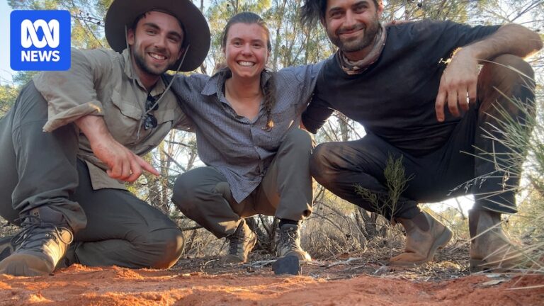 curtin-university-students-discover-meteorite-in-western-australia