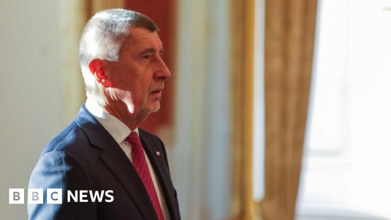 czech-billionaire-andrej-babis-named-prime-minister-amid-business-divestiture-pledge