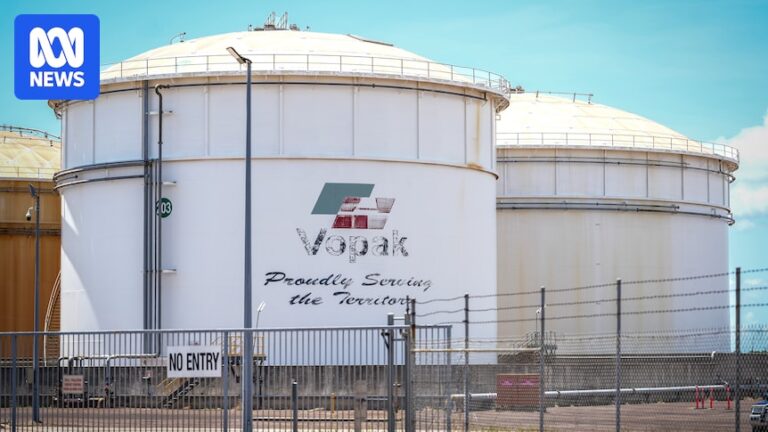 darwin-s-carbon-storage-plan-sparks-environmental-concerns