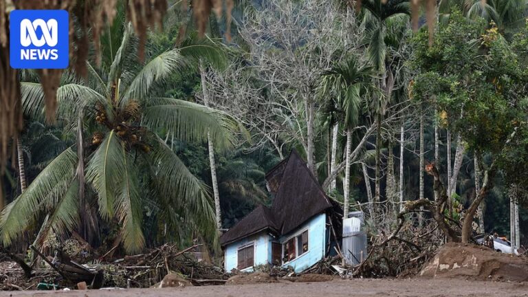 deforestation-in-sumatra-exacerbates-deadly-floods-say-indonesian-environmentalists