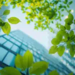 eco-friendly-photography-sustainable-practices-for-a-greener-future