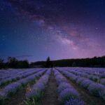 exploring-the-potential-of-asteroid-mining-ice-csic-s-groundbreaking-study