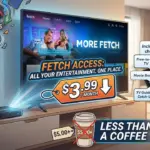 fetch-access-a-game-changer-for-affordable-streaming-in-australia-