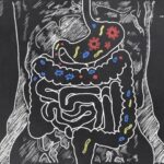 genetic-influence-on-gut-microbiome-extends-beyond-individual-organisms