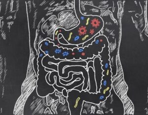 genetic-influence-on-gut-microbiome-extends-beyond-individual-organisms
