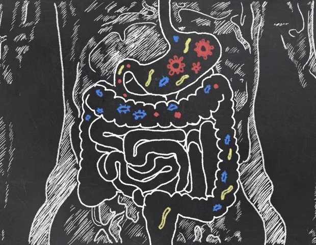 genetic-influence-on-gut-microbiome-extends-beyond-individual-organisms