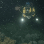 great-barrier-reef-s-annual-spawning-nature-s-largest-reproductive-event