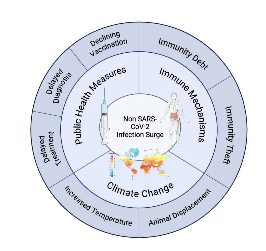 hidden-infections-may-hold-key-to-long-covid-mystery