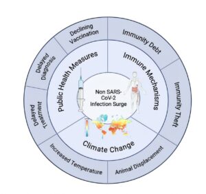 hidden-infections-may-hold-key-to-long-covid-mystery